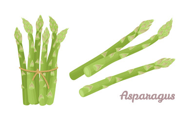 Green asparagus set. Fresh vegetables isolated on white background. Healthy food. Vector illustration in cartoon flat style. - obrazy, fototapety, plakaty
