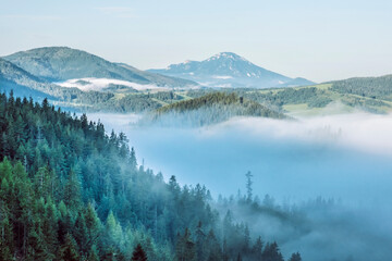 Natural scene with morning fog, Orava Region, Slovakia