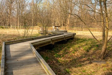 Fototapeta na wymiar A Boardwalk in a Park in Suburban Pennsylvania
