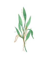 Fototapeta premium Watercolor composition of green leaves and gold elements isolated on a white background. For logos, wedding decor, greeting cards, icons, and Wallpapers.
