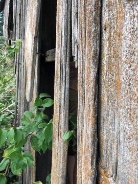 old fence