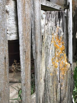 Rustic wood planks