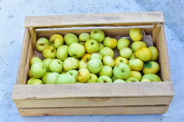 Wooden box full of green ripe apples in autumn
