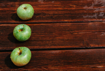 Fresh autumn Apple harvest on the kitchen countertop. Three fresh green apples lie in a row on a wooden table. A textured mahogany wood background and fruit lie on it.