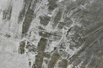 Concrete grey background of fresh plaster on the wall
