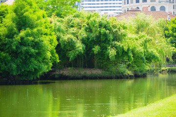 Wonderful view of Ardagani lake, Batumi