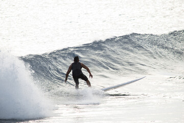 Surfer dude surfing on a longboard at Waikiki Oahu Hawaii during summer vacation 