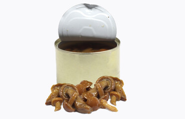 trifuled flavored canned honey mushrooms