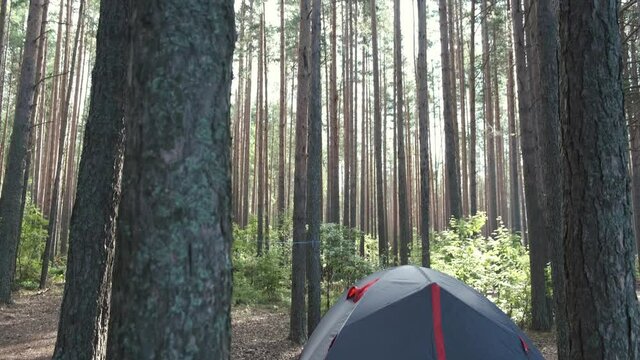 Tourist camsite in the middle of beautiful pine forest. Camping tent in woods. Hiking, trekking, outdoor activities.