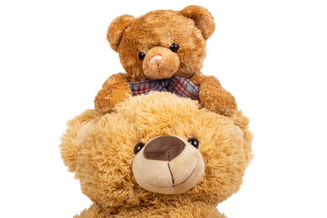 Teddy bear with little bear on white background.