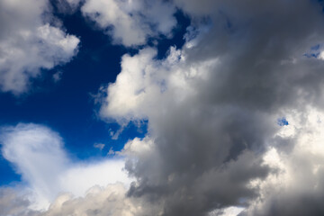 White cotton wool clouds on a sunny day. A continuous stream of clouds across the summer sky.