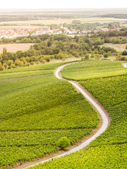 Langer Weinpfad Richtung Oberschwarzach von der Stollburg aus in Handthal - obrazy, fototapety, plakaty