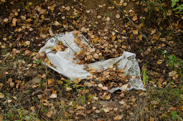 Garbage in the forest. Ecologic problem.