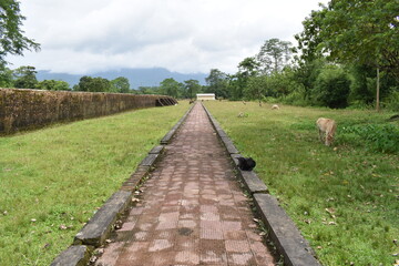 path in the countryside