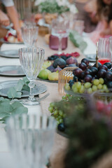 catering buffet table, Beautiful dishes on the table with fruits in the background. Close-up of modern table setting in the yard. Boho-chic style concept