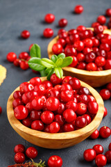 Red wild forest berry - lingonberry or cowberry