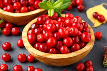Red wild forest berry - lingonberry or cowberry