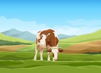 Vector cartoon landscape with cow on green pasture with blue sky and meadows in the background © Kateina