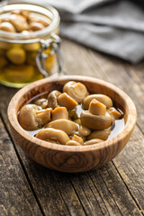 Pickled champignons. Marinated mushrooms