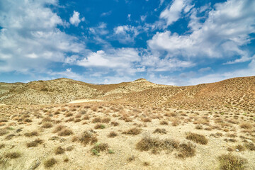 sandy surface in the mountains of Asia without rain sandy surface and dried plants