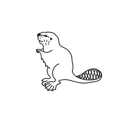 Beaver vector illustration. Forest animal hand drawn.