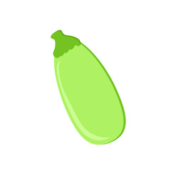 Green zucchini on a white background. Vegetable. Illustration.