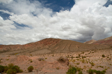 Desert landscape. View of the brown hills and arid valley under a beautiful blue sky with white clouds.