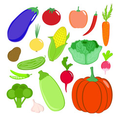 Collection of vegetables on a white background. Illustration