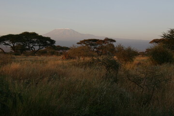 Kenya Bay Beach