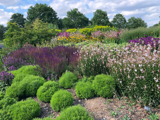 English summer garden with blooming