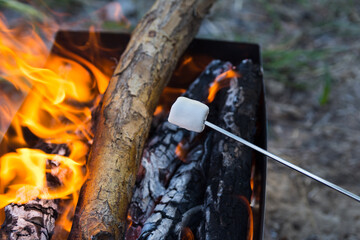 Marshmallow strung on skewer is being grilled under the fire. Dessert on the open fire. Dinner in the hiking camp on sunset