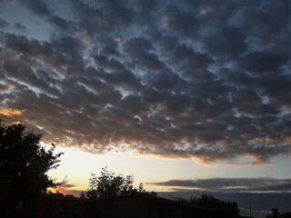 Fototapeta na wymiar clouds in the sky at dawn