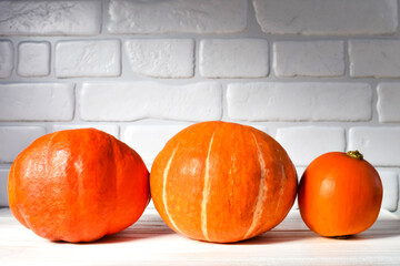 Three orange pumpkins on a white table against a white brick wall background. Harvest concept.