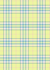 Plaid material, Seamless Pattern, Vector sketch
