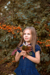 a girl in a blue T-shirt stands against the background of autumn trees with a bouquet of leaves