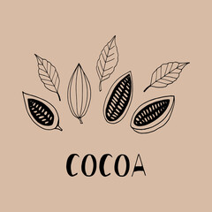 Obraz premium cocoa beans with leaves and lettering isolated hand drawn vector doodle. template concept for design poster, label, menu, card, sticker, plant