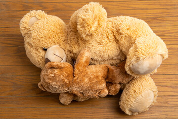 Teddy bear with little bear indoors.