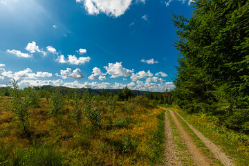 Sunny view with a dramatic sky on the national park Ardennes and Eifel in the Liege province in Belgium. A trail is leading the direction to the horizon.