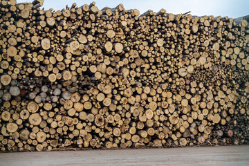 Logs ridge in port