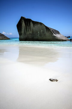 White sand beach on the island of Koh Miang in the Similan islands in the Andaman sea of western Thailand