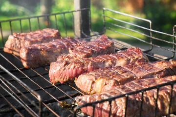 Grilled meat on a wire rack. Steaks barbecue on a brazier. Outdoor cooking.
