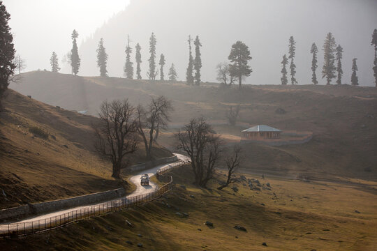 Sonamarg, Meadow of Gold. Thajiwas glacier. Jammu & Kashmir, India