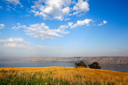 Israel, lower Galilee, Overlooking the sea of Galilee