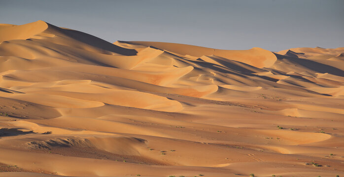 Sand dunes, Empty Quarter Desert, Abu Dhabi, United Arab Emirate