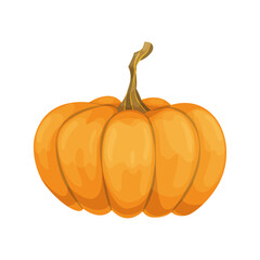 Cartoon pumpkin icon. Orange and yellow autumn pumpkin. Large gourd vegetable. Farm harvest vegetable fresh and tasty