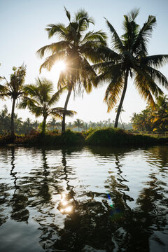 Keralan backwaters, North Paravoor, Kerala, India