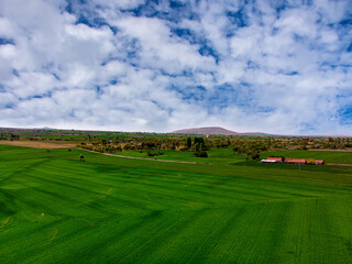Fototapeta na wymiar Aerial view to the rural fields during the spring season in Turkey