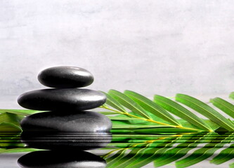 Spa concept with wet black stones and palm leaf.