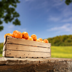 Fresh orange fruits and free space for your decoration 