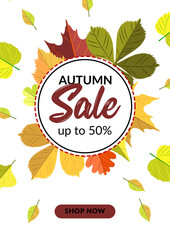 Autumn vertical sale design with colorful leaves. Place for text. Vector illustration